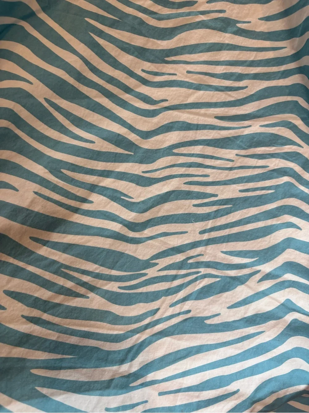 Pottery Barn Teen Y2K Blue Zebra Print Cotton Duvet Cover Full / Queen